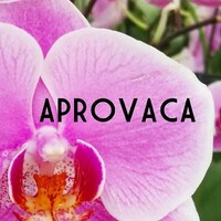 APROVACA, La Asociación de Productores de Orquídeas de El Valle y Cabuya logo - Similar company to It Solutions