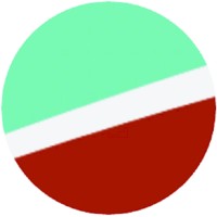 The Choice Academy logo - Similar company to The Fun Academy