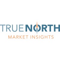 True North Market Insights logo - Similar company to Fbn Iran