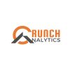 Crunch Analytics logo - Similar company to Crunch, A Data & Ai Agency