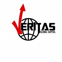 Veritas Global Capital logo - Similar company to Sizakele Design Engineering And Transit