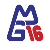 METALÚRGICA G16 INDÚSTRIA E COMÉRCIO LTDA logo - Similar company to Industria E Comercio 2000 De Itu