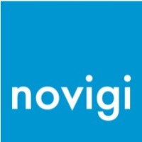 Novigi logo - Similar company to Novigi Solution