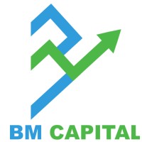 BM Capital INC logo - Similar company to Unplatforms