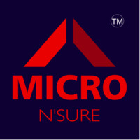 MicroNsure logo - Similar company to Matrixo