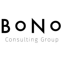 Bono Consulting Group (BCG) logo - Similar company to Visigon