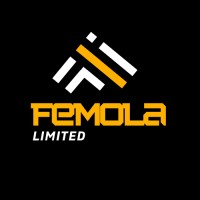 Femola Limited logo - Similar company to 3Bm Studio