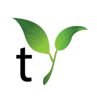 TechYugadi IT Solutions & Consulting logo - Similar company to Tecounter