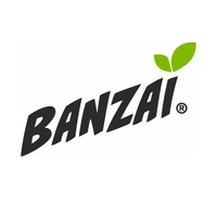 Banzai Romania logo - Similar company to Palmex Container