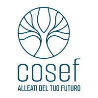COSEF Consorzio Universitario per gli Studi Economici e Finanziari logo - Similar company to Crewel Srl