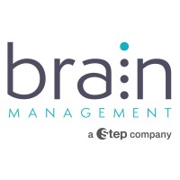Brain Management logo - Similar company to Cybersel Group