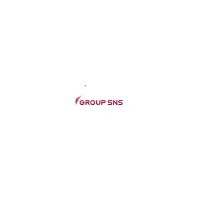 Group SNS logo - Similar company to Bnb Group Drc