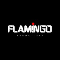Flamingo Promotions logo - Similar company to Flamingo Educare