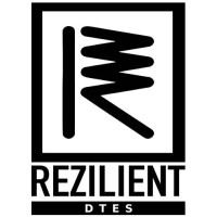 Rezilient DTES logo - Similar company to Rezilient Digital