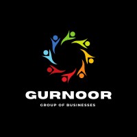 Gurnoor Group Of Businesses logo - Similar company to Vlacks