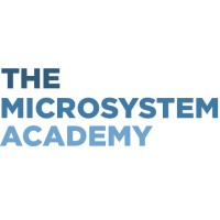 Institute For Excellence In Health And Social Systems