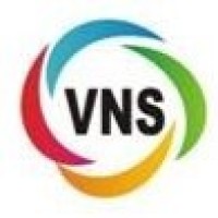 VNS logo - Similar company to Octane Apps