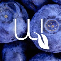 Health Magazine Armenia logo - Similar company to Wellness Voice Magazine