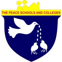The Peace College logo - Similar company to Tameer-I-Wattan Public Schools & Colleges, Goe, Pakistan