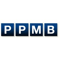 PPMB Prozess- und Projekt-Management Beratung Dr. Schmidt GmbH logo - Similar company to Interim Cdo/Cio, Sr Project Management, Flash-Coaching