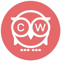 Charitywize logo - Similar company to Payaz