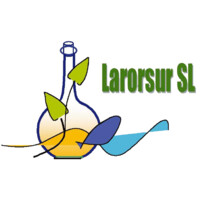 Larorsur SL logo - Similar company to Hospital Comarcal De Vinaròs