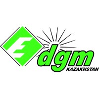 DGM Kazakhstan logo - Similar company to Terminal Logistics Services