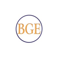 Broad Global Energy logo - Similar company to Process Engineering International, Llc