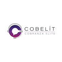 COBELIT | Estrategias y Soluciones BGN logo - Similar company to Accede Educación
