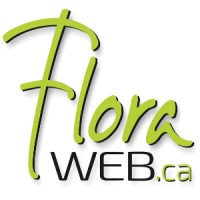 Floraweb.ca Inc. logo - Similar company to Le Spa