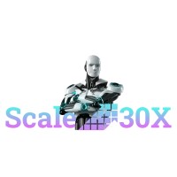 SCALE30X - #1 Growth Partner - Top Brand Strategists logo - Similar company to Vanati Group®