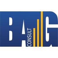 BAG Consult LDA logo - Similar company to Pimcil