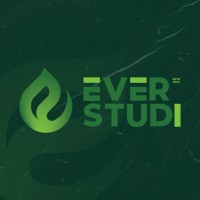 EverStudi logo - Similar company to Technopreneurs Bd