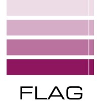 FLAG Consultora logo - Similar company to Latechco