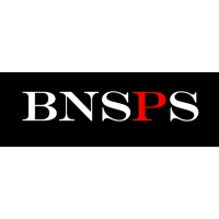 BNSPS logo - Similar company to Bnsp