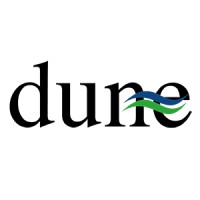 Dune Sistemi logo - Similar company to Nano Sensor Systems Srl