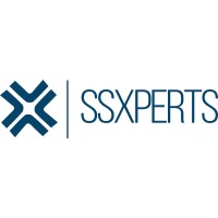System & Solutions Experts logo - Similar company to Knotron