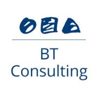 BT Consulting logo - Similar company to Bt Consulting - It-Solutions