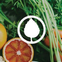 Gingerwald logo - Similar company to Ginger Jack