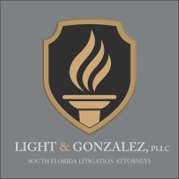 Light & Gonzalez, PLLC logo - Similar company to Virtually Calm, Llc
