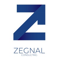 Zegnal Consulting logo - Similar company to Openser