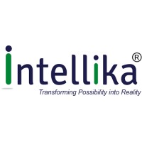 Intellika Hitech Systems Private Limited logo - Similar company to Direction Software Llp