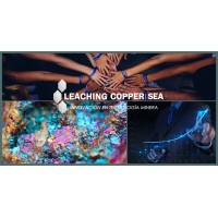 LEACHING COPPER SEA SPA logo - Similar company to Sysmos