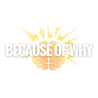 Because Of Why logo - Similar company to Real World Leaders