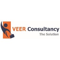 VEER Management Consultancy logo - Similar company to Kartel Group