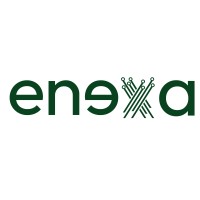 eNexa logo - Similar company to Geleçek