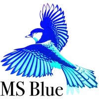 MS Blue logo - Similar company to Techgv