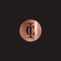 Ikon Capital logo - Similar company to Ikon Capital Group