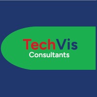 TechVis Consultants logo - Similar company to Lean Expert