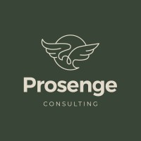 Prosenge Consulting logo - Similar company to Concept X